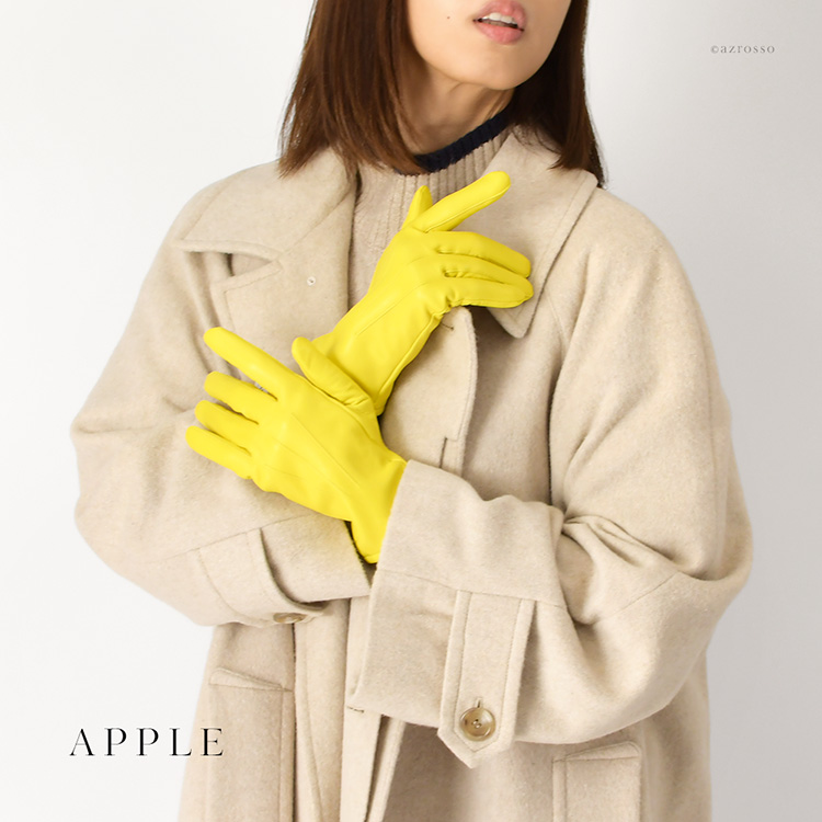 モデル画像　APPLE